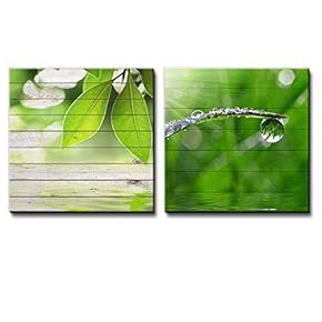 Branch with Leaves at The Top Along with a Leaf Covered with Water Drops Over Wooden Panels - Canvas Art Home Art - 12x12 inches