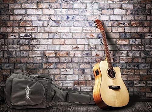 5 Monoprice+Idyllwild+Acoustic+Electric+Fishman