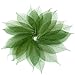 NAVA CHIANGMAI Rubber Tree Leaves - Pack of 100 Skeleton Leaves Decorative DIY Craft, Artificial Leaves Craft Card Scrapbook DIY Handmade Embellishment Decoration Art (Green)