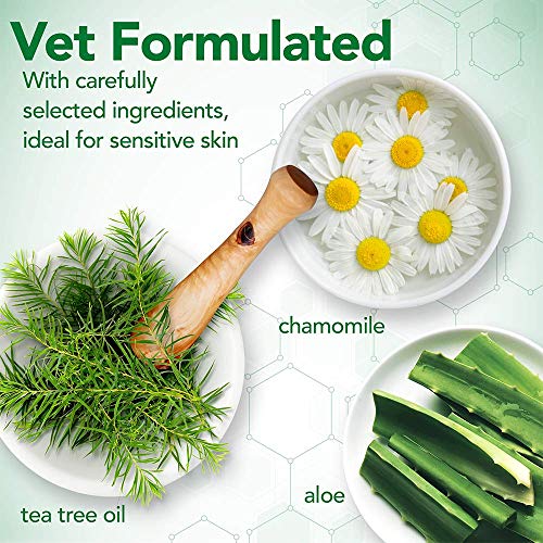 Vet's Best Dog Hot Spot Itch Relief Spray | Relieves Dog Dry Skin, Rash, Scratching, Licking, Itchy Skin, and Hot Spots | No-Sting and Alcohol Free | 16 Ounces - Thumbnail 4