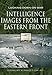 Intelligence Images from the Eastern Front (Looking Down On War) by Roy M Stanley