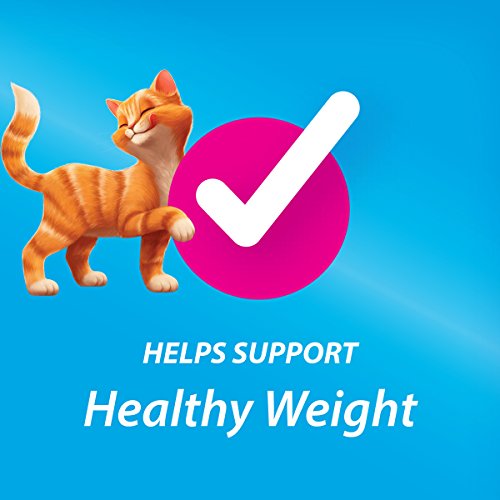 6 Purina+Kit+Kaboodle+Indoor+Food
