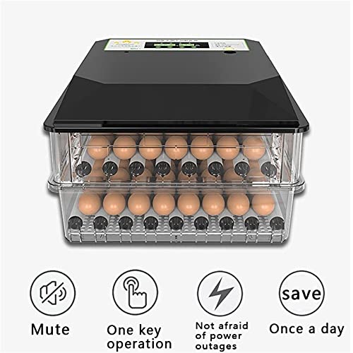 FHISD Brutmaschine für Hühnereier Brutmaschine für Hühnereier Brutmaschine für Hühnereier Automatische Brutmaschine für… – Bild 4