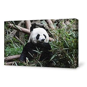 Canvas Wall Art for Living Room,Bedroom Home Artwork Paintings Cute Panda Ready to Hang - 12x18 inches