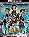 Black Panther [4K UHD + Blu-ray]