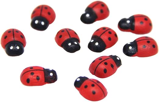 comprar mariquitas amazon