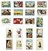 VINTAGE REPRINTS 1907-1941 postcard set of 20. Post card variety pack of vintage postcards reprnits. Made in USA.