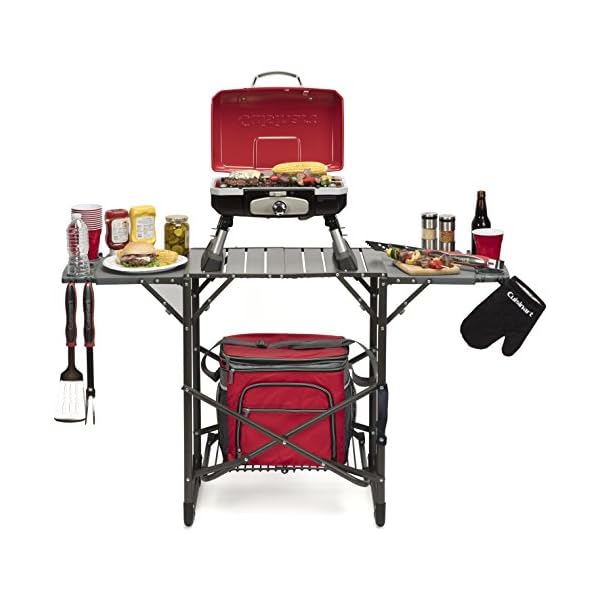 Cuisinart-CFGS-222-Take-Along-Grill-Stand
