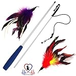 Pet Fit For Life Multi Feather Teaser and Exerciser For Cat and Kitten - Cat Toy Interactive Cat Wand