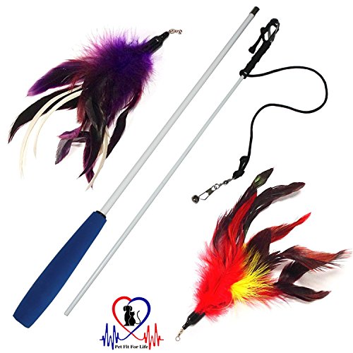 Pet Fit For Life Multi Feather Teaser and Exerciser For Cat and Kitten - Cat Toy Interactive Cat Wand