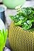 Keter Cozies Plastic Planters