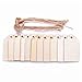 ArtMuseKitsMikash TMO Wood Tags Unfinished Wood Craft Supplies DIY Woodcrafts Blank Wooden Gift Tags Natural Hanging Wood Pieces for Wine,Decor,Wedding(100 Pcs)