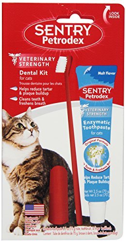 Sentry Petrodex Dental Kit for Cats, Malt Toothpaste, 2.5 oz