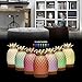 Essential Oil Diffuser -160ml Cool Mist Humidifier -7 Color LED Nihgt lamps -Crafts Ornaments All in One is The Round Rich Upgrade Whisper-Quiet Ultrasonic Ceramics Pineapple Humidifiers US120Vthumb 3