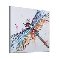 HADIY Diamond Painting DIY 5D Special Shape Rhinestones, Partial Drill Crystal Diamond Dotz Kits (Dragonfly)