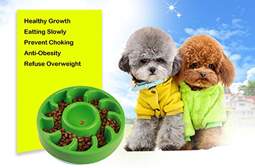 Pet Slow feeder bowl healthy growth eatting slowly feeding reduce speed Dog Bowl Prevent Choking obesity overweight (Green)