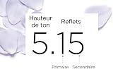 L'Oréal Paris Excellence Crème Permanent Hair Colour 8.10 Light Ash Blonde view 8
