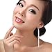 1 Pair Lady's Silver Plated Six-Wire Tassel Long Earrings Dangle Earhook Costume Jewellery