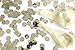 Modern Silver Foil Party Decoration Confetti Balloon (Thickened 12