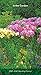 In the Garden 2020 3.5 x 6.5 Inch Two Year Monthly Pocket Planner Calendar, Gardening Outdoor Home N by 