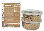 Mealworms (2200 Count)