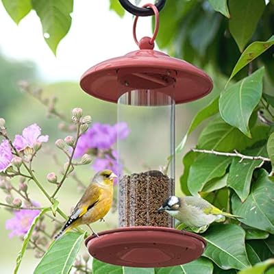 Bird Feeder Leak Proof And Splash Proof Mini Feeder With Hanger