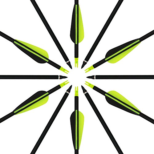 ARCHERY SHARLY 31" Carbon Hunting Arrows Targeting Practice Arrows,3" Plastic Vanes Screw-in Replacement Tips for Recurve & Traditional Bow & Longbow (12 Pack) - Thumbnail 2