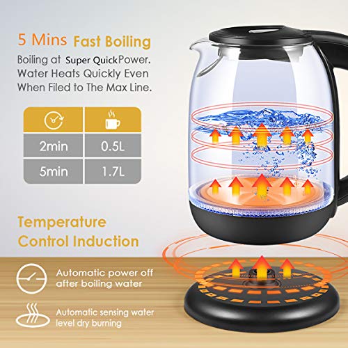 Electric Kettle, Glass Tea Kettle & Water Boiler Variable Temperature