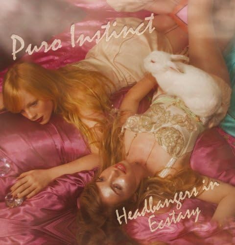 Headbangers In Ecstacy by Puro Instinct