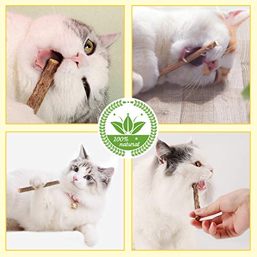 24 Pcs Natural Cat Sticks, Silvervine Chew Stick for Cats Make The Cat