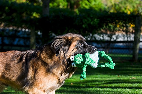 HuggleHounds Plush Corduroy Durable Knotties Frog Knottie, Large, Green
