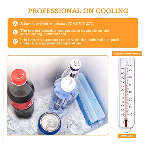 AstroAI Electric Cooler 26 Quarts/ 24 Liter, 12V Cooler Portable