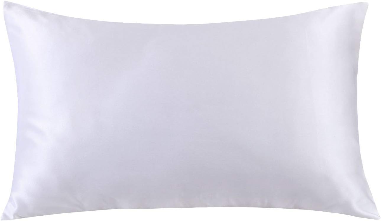 Ethereal Lomoer 100% Natural Pure Silk Pillowcase for Hair and Skin, Both Side 19mm, Hypoallergenic, 600 Thread Count, Hidden Zipper Design (White, Queen Size)