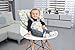 Alphabetz Portable Travel High Chair and Safety Seat, Geo Triangle