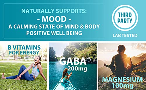 NATURES WELLNESS ZENTA – THE NATURAL RELIEF SUPPLEMENT TO HELP CALM BODY AND MIND | POSITIVE MOOD ENHANCER – INCREASE SEROTONIN LEVELS WITH 5-HTP, ASHWAGANDHA, CHAMOMILE, DMAE | 60 CT