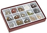 American Educational 15 Piece Specimen Metamorphic Rock Collection