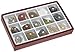 American Educational 15 Piece Specimen Metamorphic Rock Collection