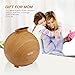 Housmile (600ml ,Wood Grain) Essential Oil Diffusers Ultrasonic High Capacity Globe Cool Mist Humidifiers for Home Office Spa Yoga Bedroom Living Room