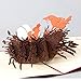Paper Spiritz Nest of Love Pop Up Thanksgiving Card Birthday Card for Mom Dad Son 3D Handmade Sympathy Thank You Greeting Card