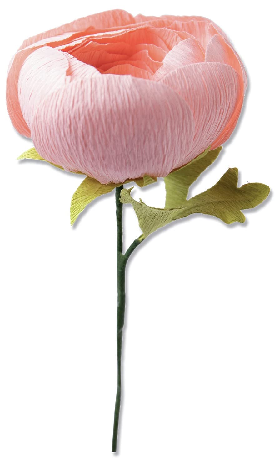 Sizzix Thinlits Flower Making Collection Die Set 5PK, Ranunculus, one Size