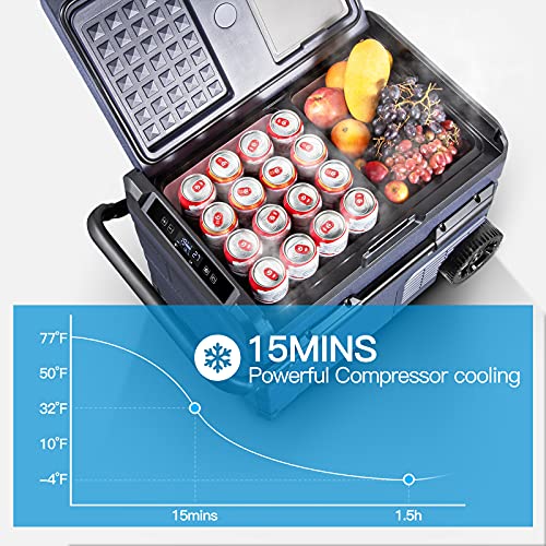 bodega 12v compressor fridge