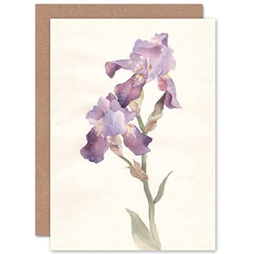Wee Blue Coo Flower Violet Iris Watercolour Greeting Card With Envelope Inside Premium Quality