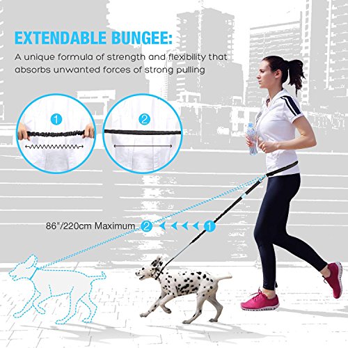 Pecute Hands Free Dog Leash with Extra Foam Handle - Extendable Bungee with Reflective Stitching - Waist Belt Adjustable Fits up to 48” Waist - For Jogging, Running, Hiking (Black and Blue)