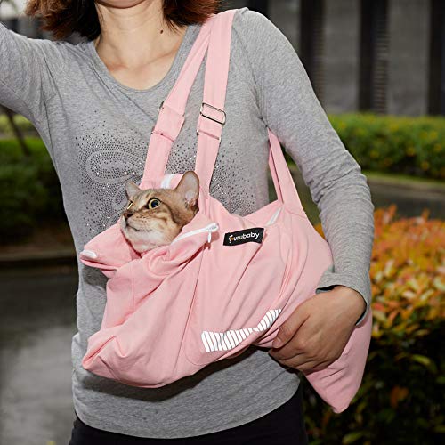 Softsided Cat Carrier