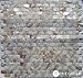 Genuine Mother of Pearl Shell Tile Natural Varied 5/8