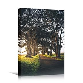 signwin Canvas Wall Art Green Forest Dramatic Forest...