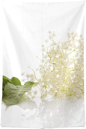 Téléchargement gratuit Images Zemivs Cuisine Tapisserie Ancien Fleur Fleur Mur Tapisserie le plus cool par