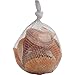 Seashells Mixed Bag of 200 Assorted Piece Bulk Pack for Home Kitchen Offices Indoors and Outdoors Wedding Baby Shower Birthday Summer Beach Nautical Theme Kids Party Favor Craft Supplies Décor