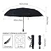 Blueshadow Windproof Travel Umbrella with Upgraded Real Wood Handle -Black