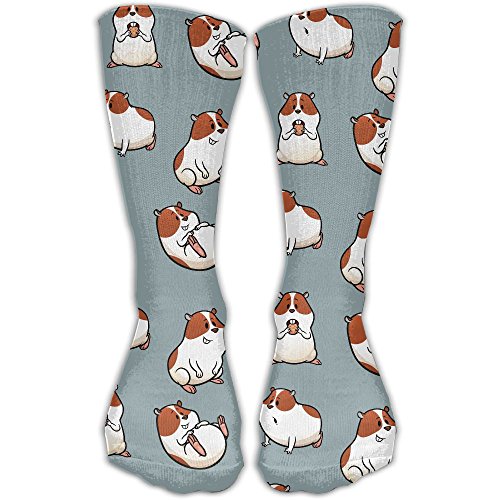 Guinea Pig Socks Kritters in the Mailbox Guinea Pig Sock